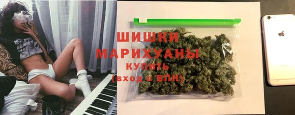 PSILOCYBIN Вяземский