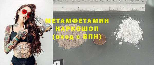 PSILOCYBIN Вяземский