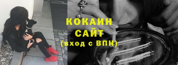 PSILOCYBIN Вяземский