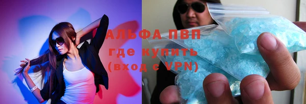 PSILOCYBIN Вяземский