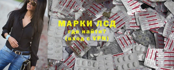 PSILOCYBIN Вяземский