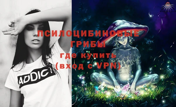 эйфоретик Вязники