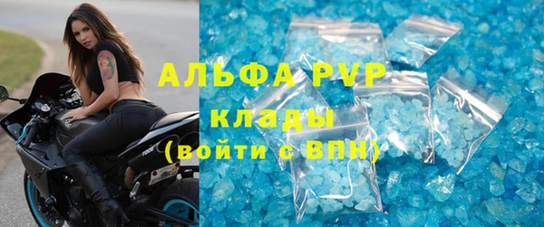 PSILOCYBIN Вяземский