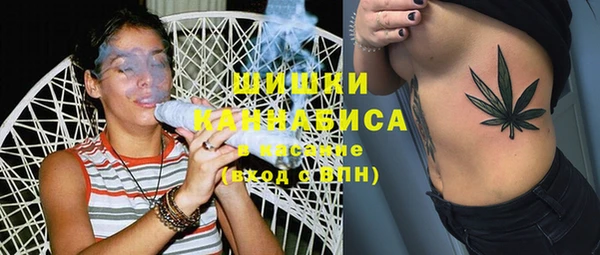 PSILOCYBIN Вяземский