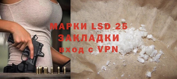 PSILOCYBIN Вяземский