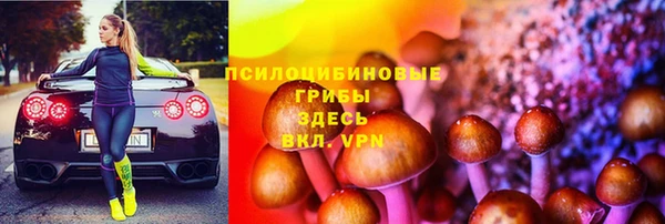 PSILOCYBIN Вяземский